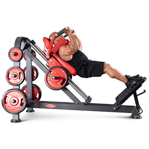 Top biggest latest gym leg exercise machine dealer & distributor