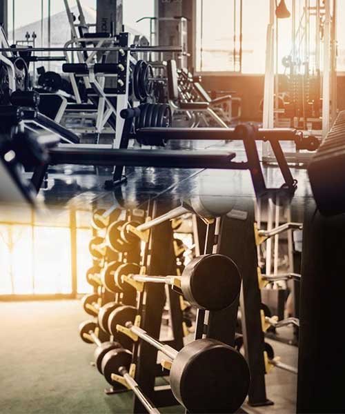 Trusted GYM Equipment Manufacture and Exporter in Uttar Pradesh